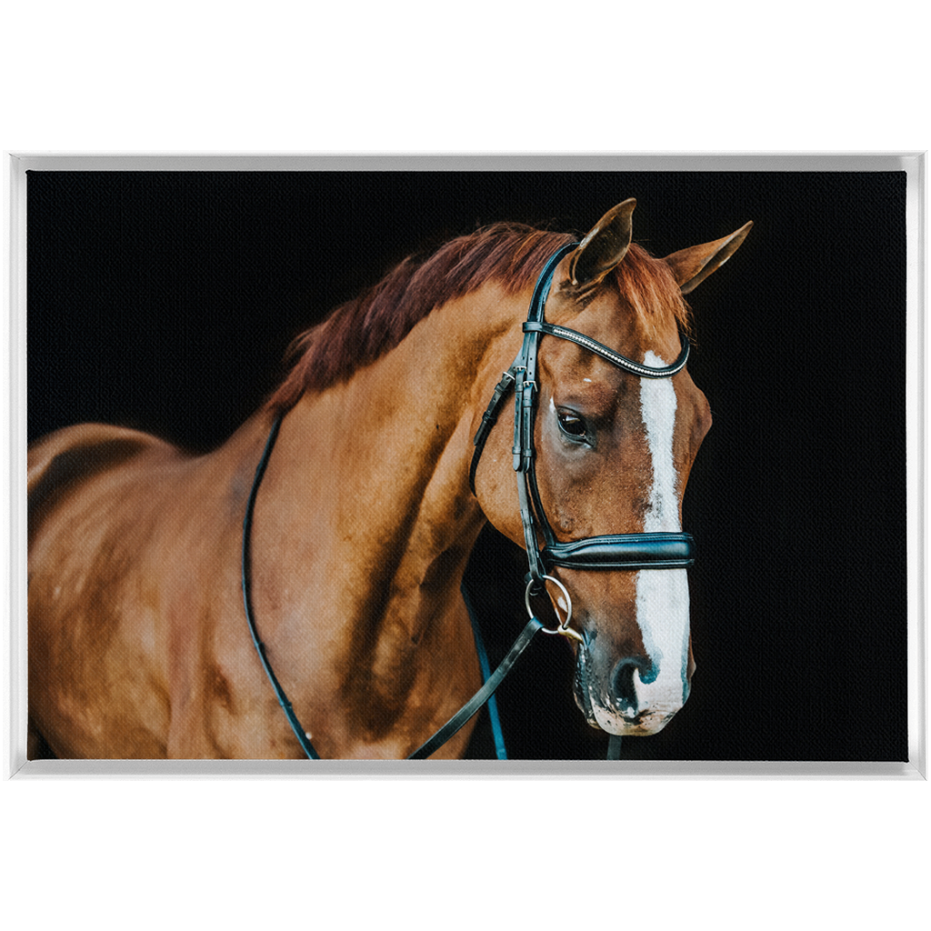 Hudson Series 1, Framed Canvas