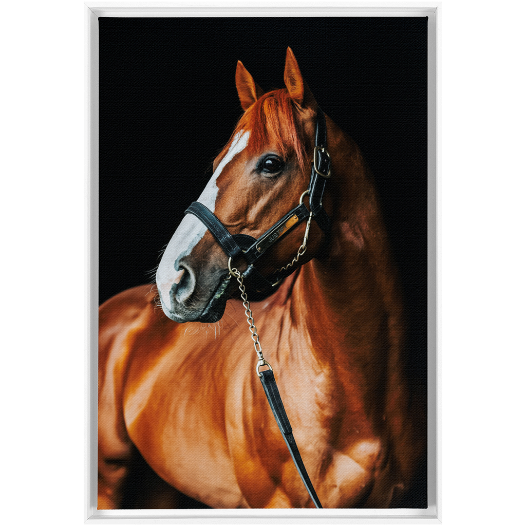 Justify Series 1, Framed Canvas