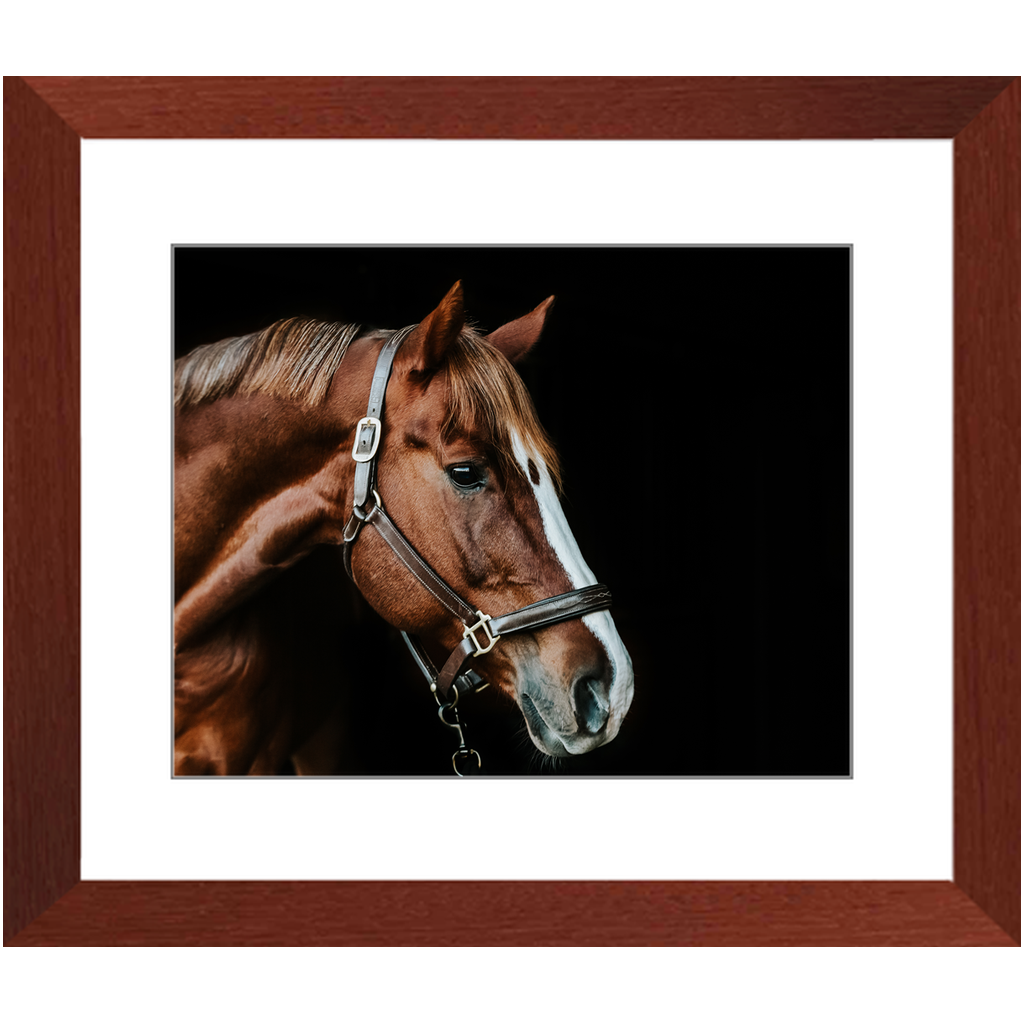 Django Series 5, Framed Print