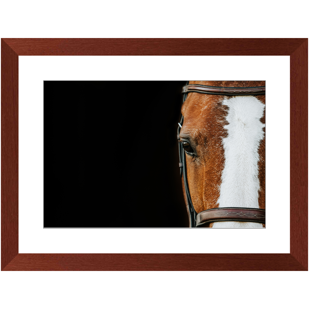 Huntsman Series 5, Framed Print