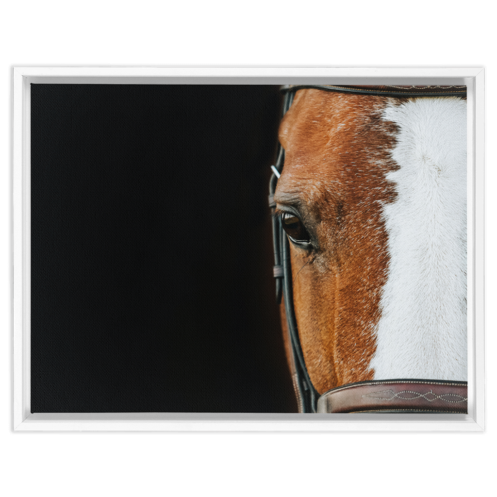 Huntsman Series 5, Framed Canvas