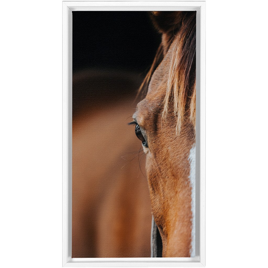 Majestic 1, Framed Canvas