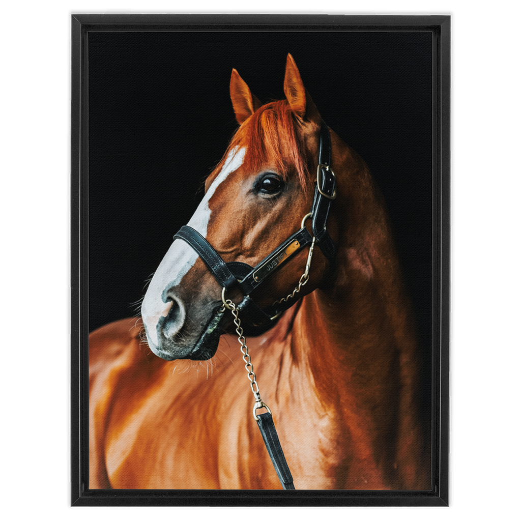Justify Series 1, Framed Canvas