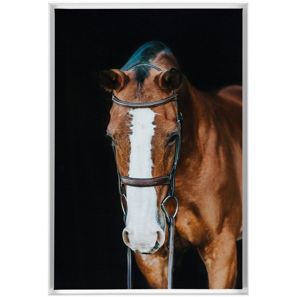 Huntsman Series 6, Framed Canvas
