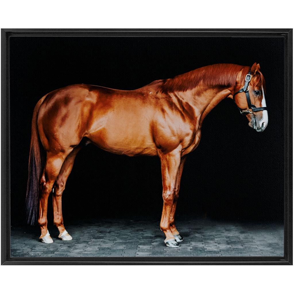 Justify Series 6, Framed Canvas