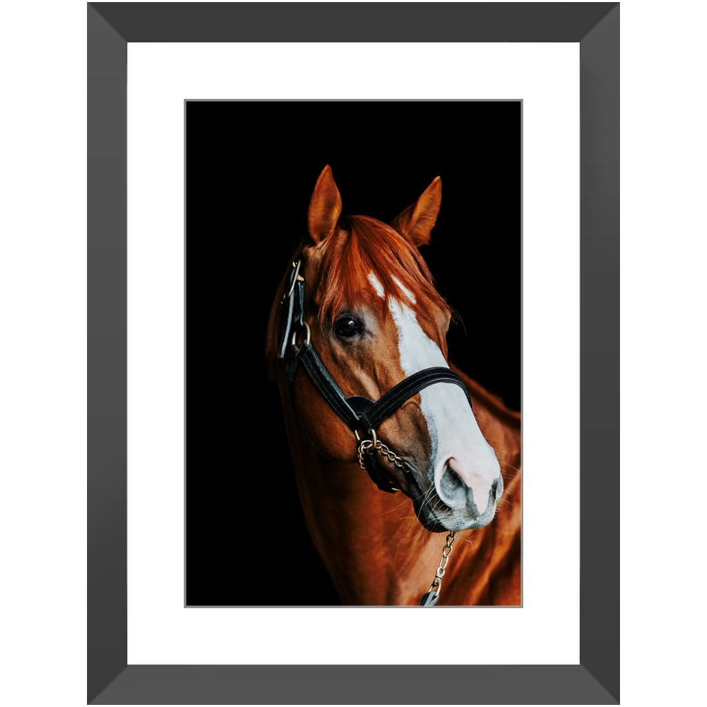Justify Series 2, Framed Print