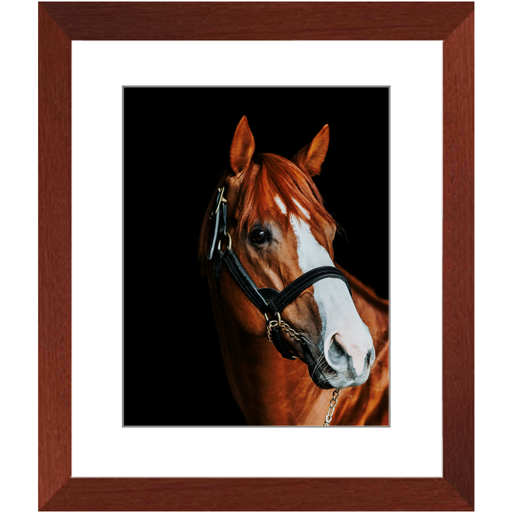 Justify Series 2, Framed Print
