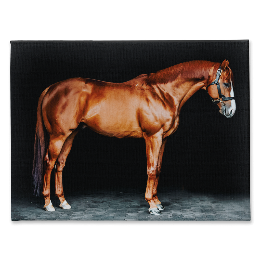 Justify Series 6, Stretched Canvas
