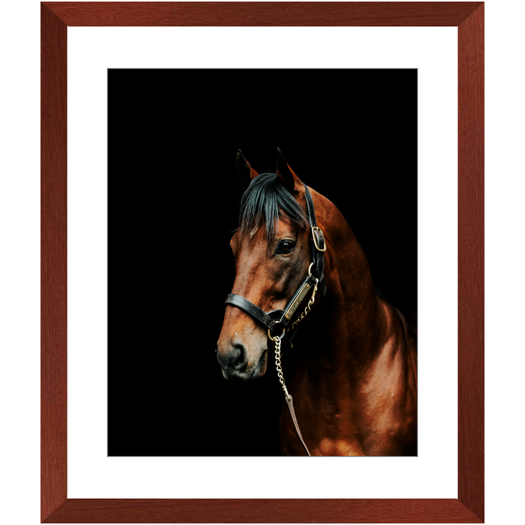 American Pharoah Series 2, Framed Prints