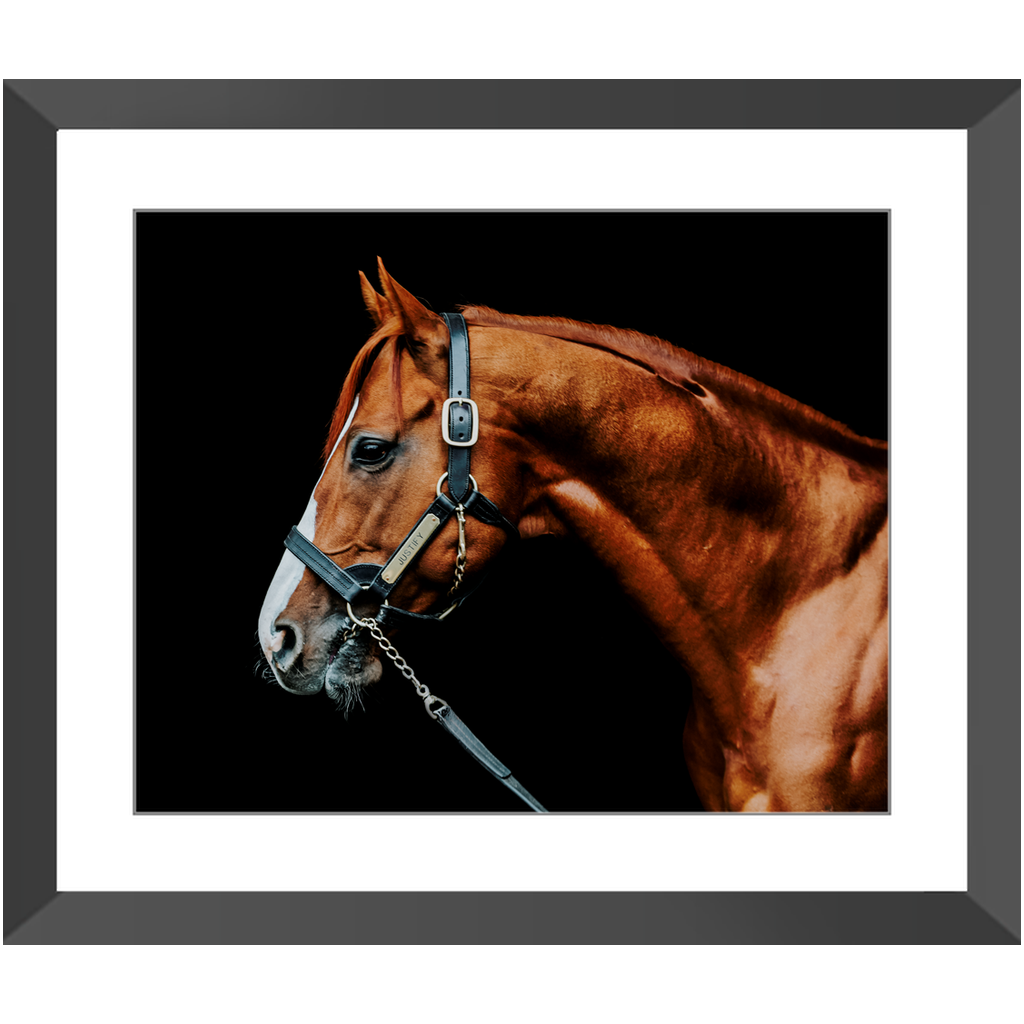 Justify Series 3, Framed Print