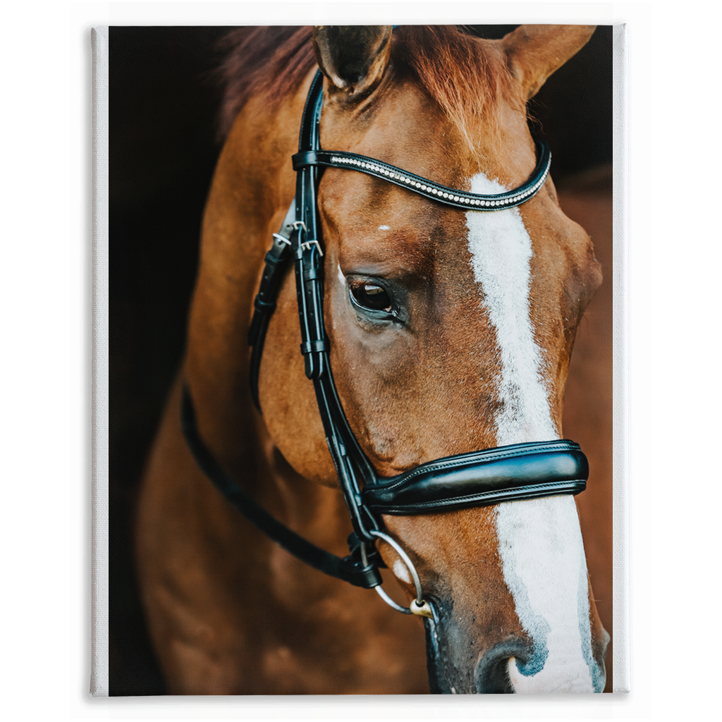 Hudson Series 3, Stretched Canvas