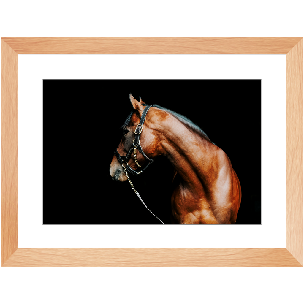 American Pharoah Series 5, Framed Print