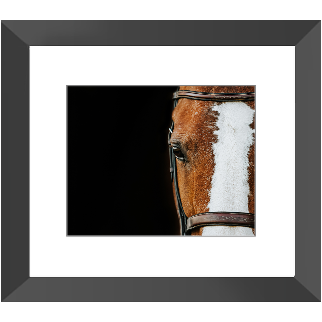 Huntsman Series 5, Framed Print