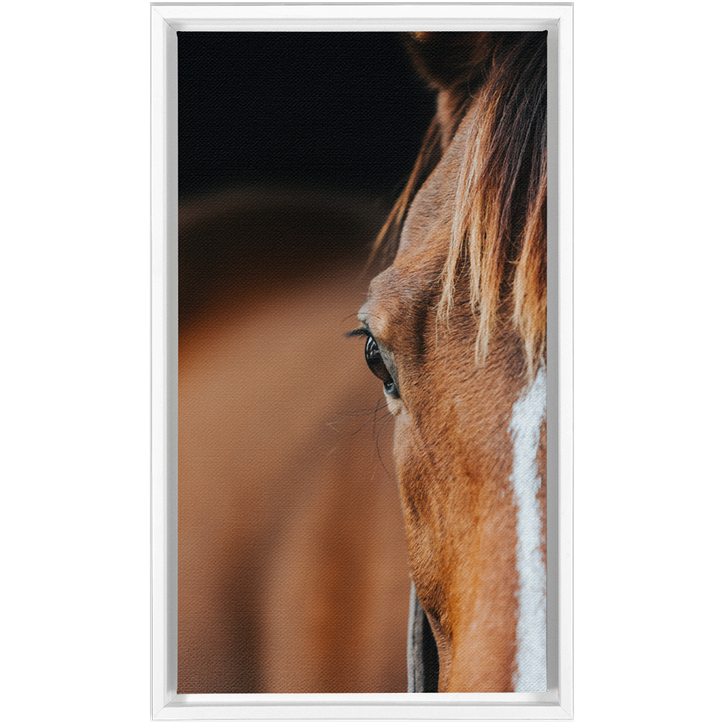 Majestic 1, Framed Canvas