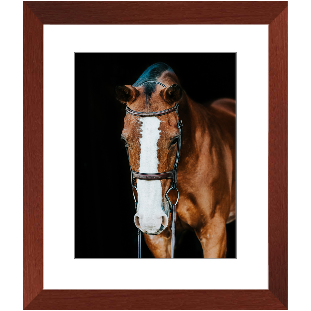 Huntsman Series 6, Framed Print