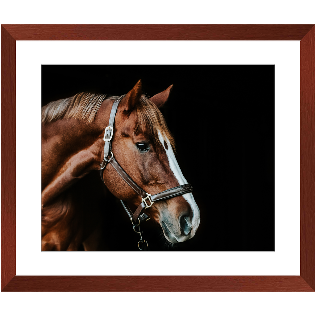 Django Series 5, Framed Print