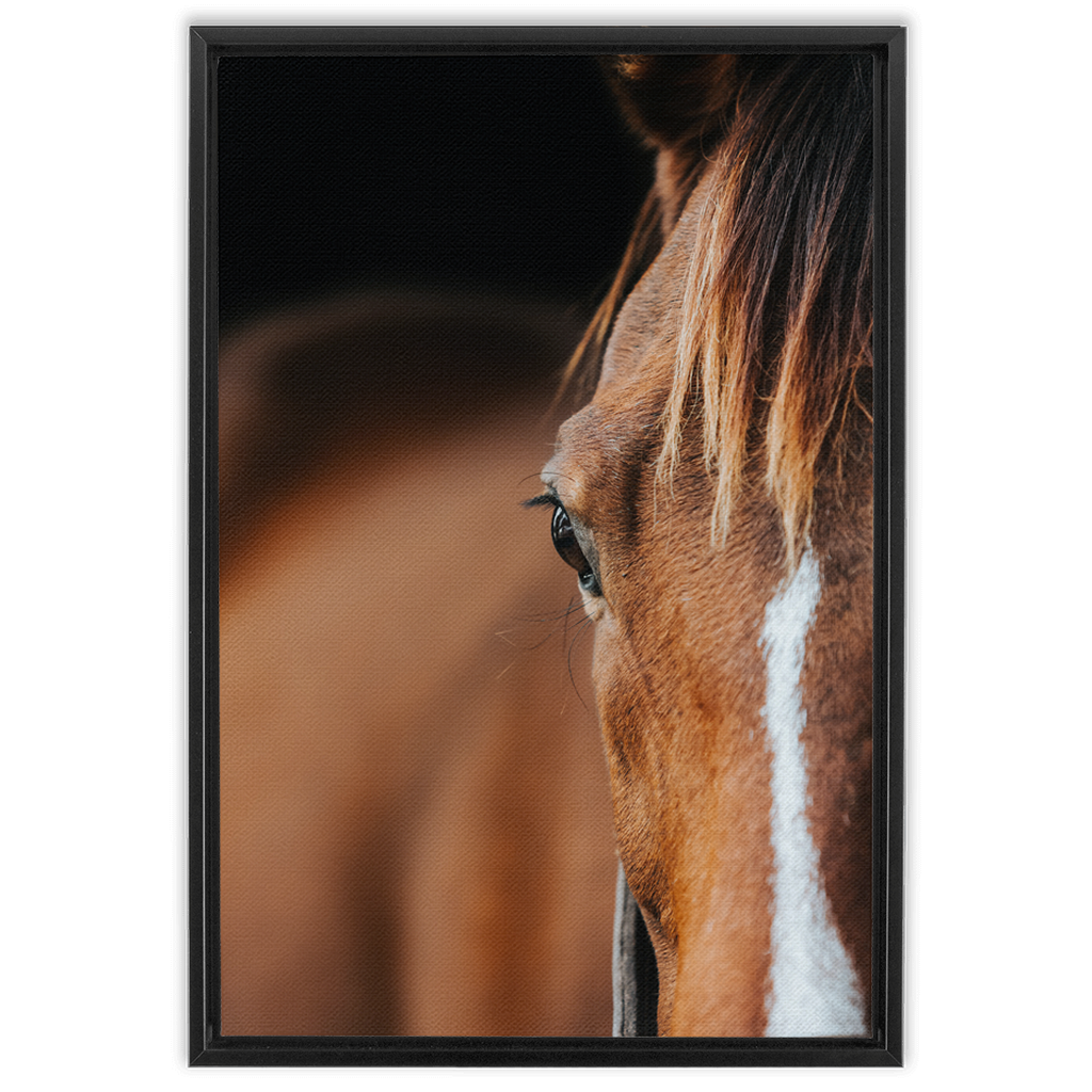 Majestic 1, Framed Canvas