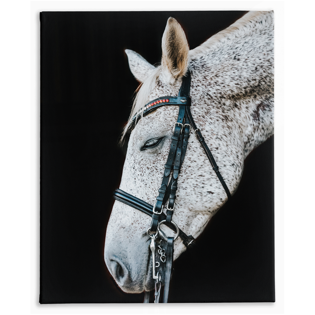 Apollos Series 2, Stretched Canvas