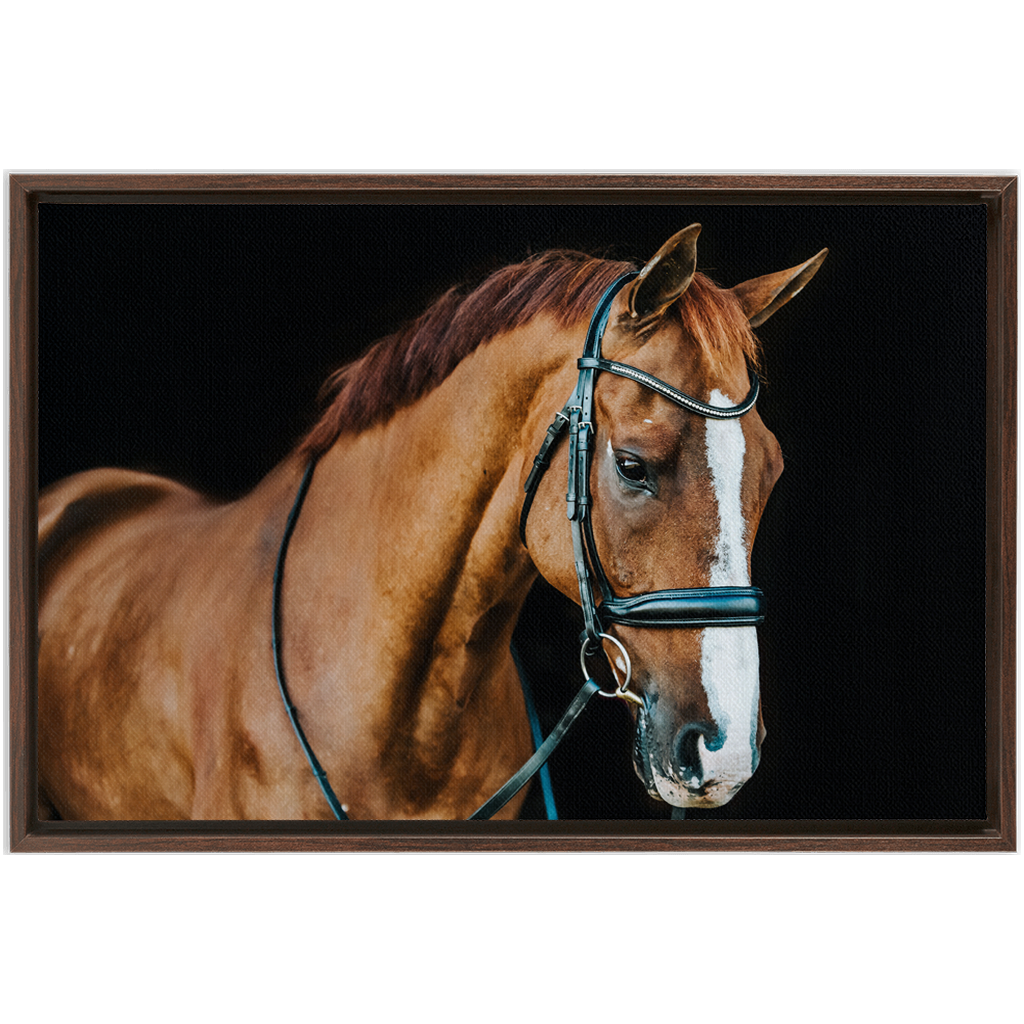 Hudson Series 1, Framed Canvas