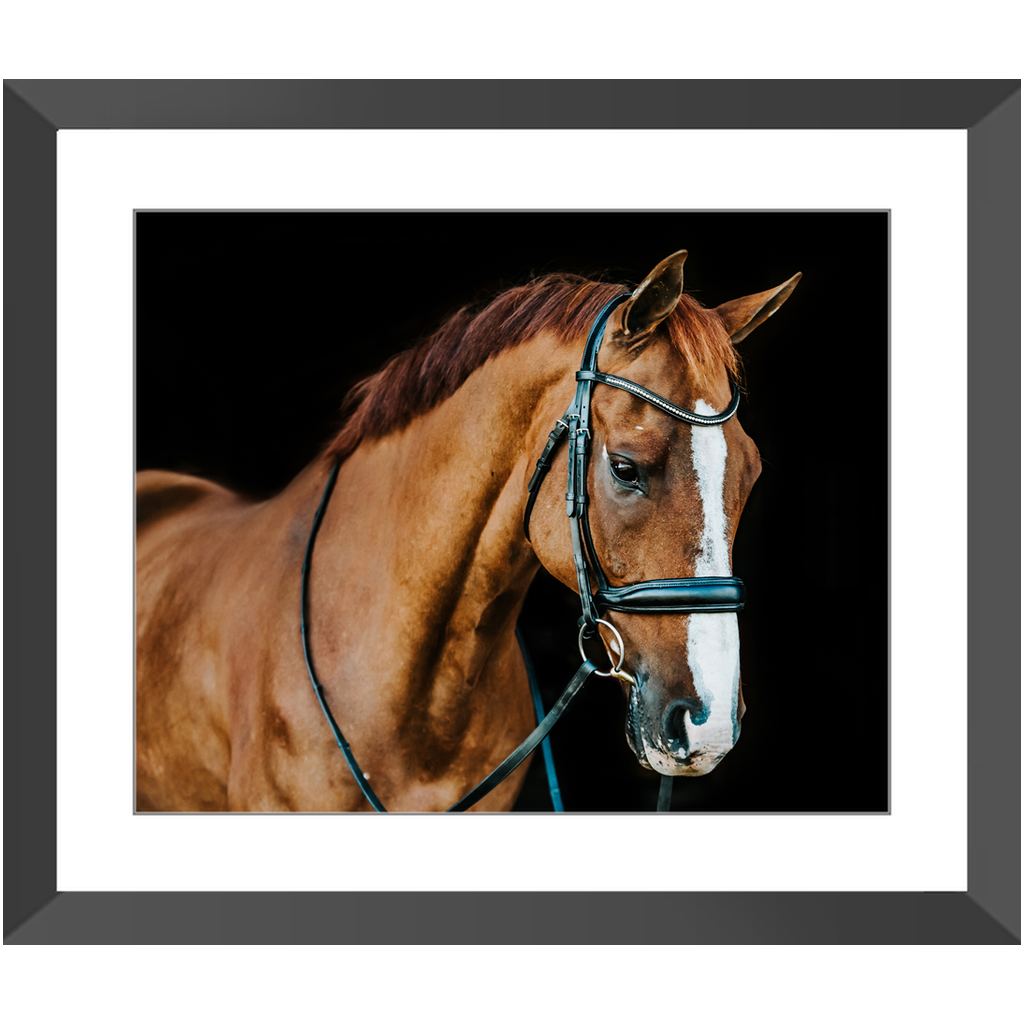 Hudson Series 1, Framed Print