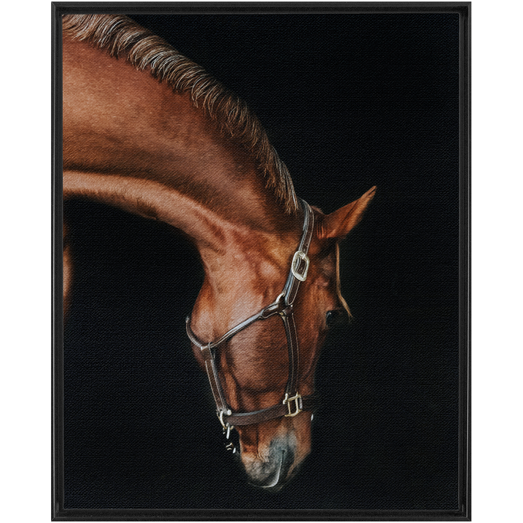 Django Series 6, Framed Canvas