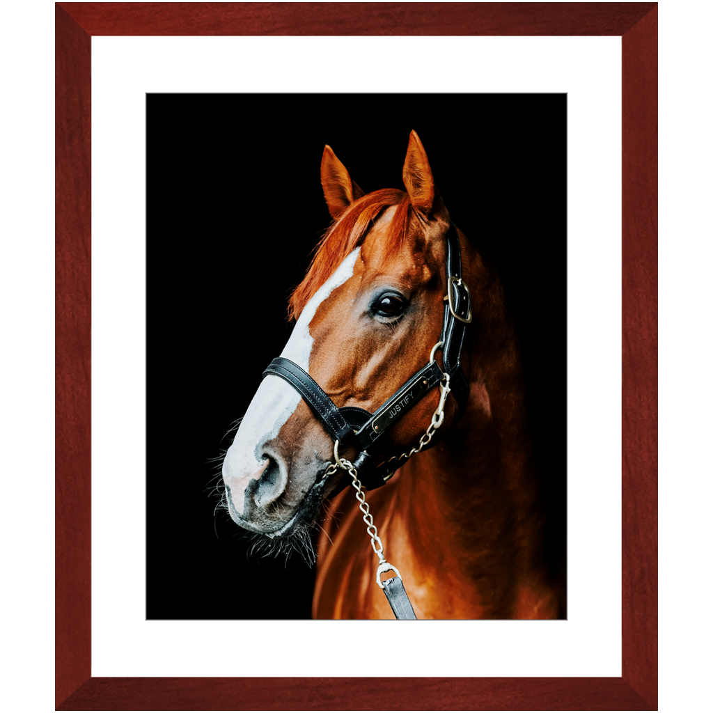 Justify Series 5, Framed Print