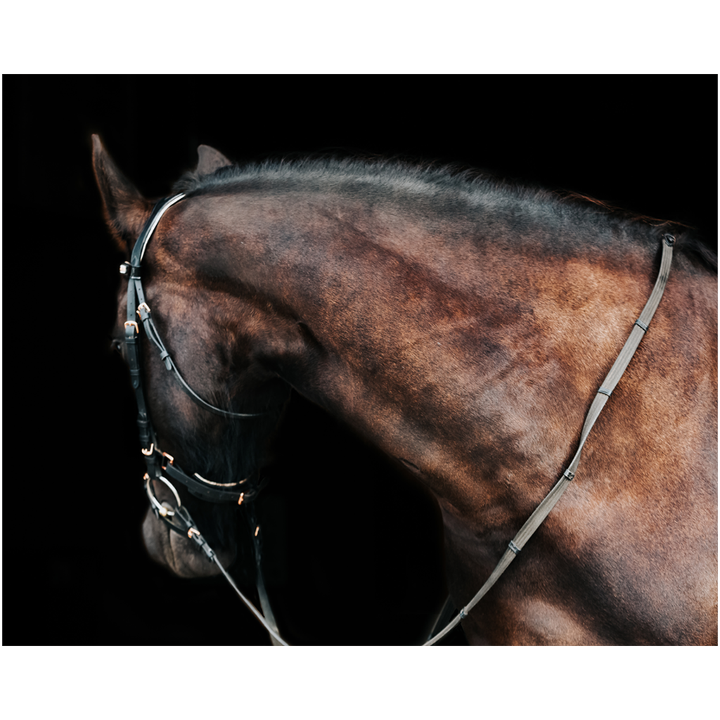 Regal Series 7, Print