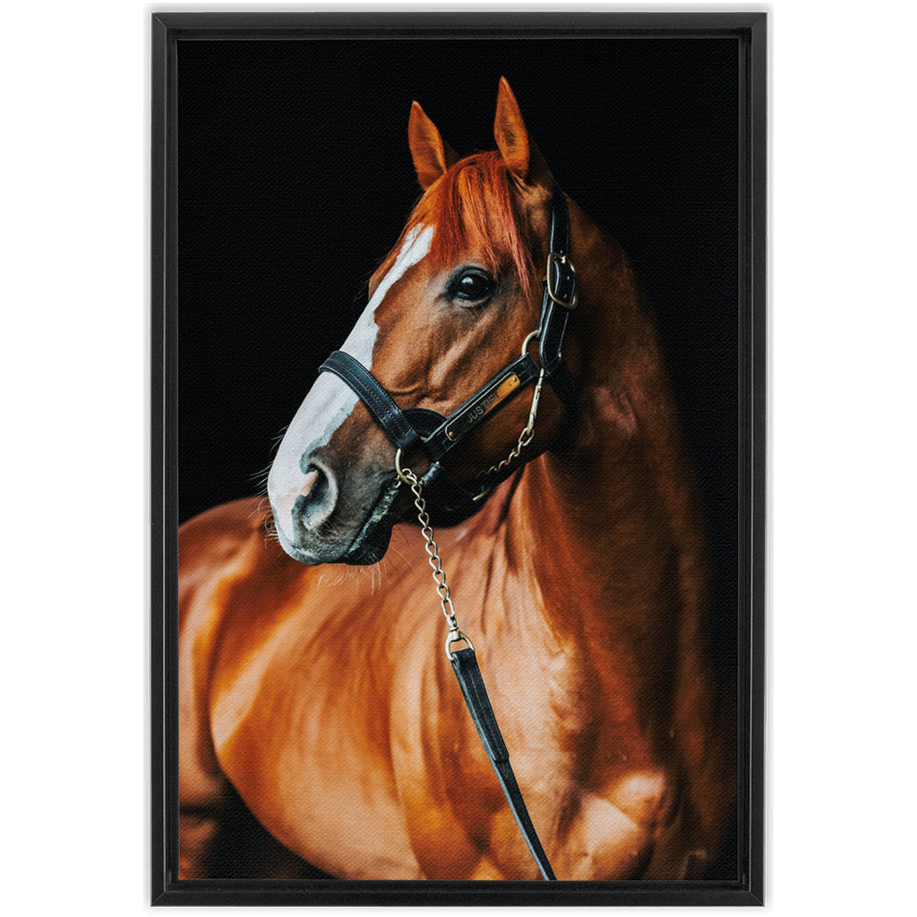 Justify Series 1, Framed Canvas