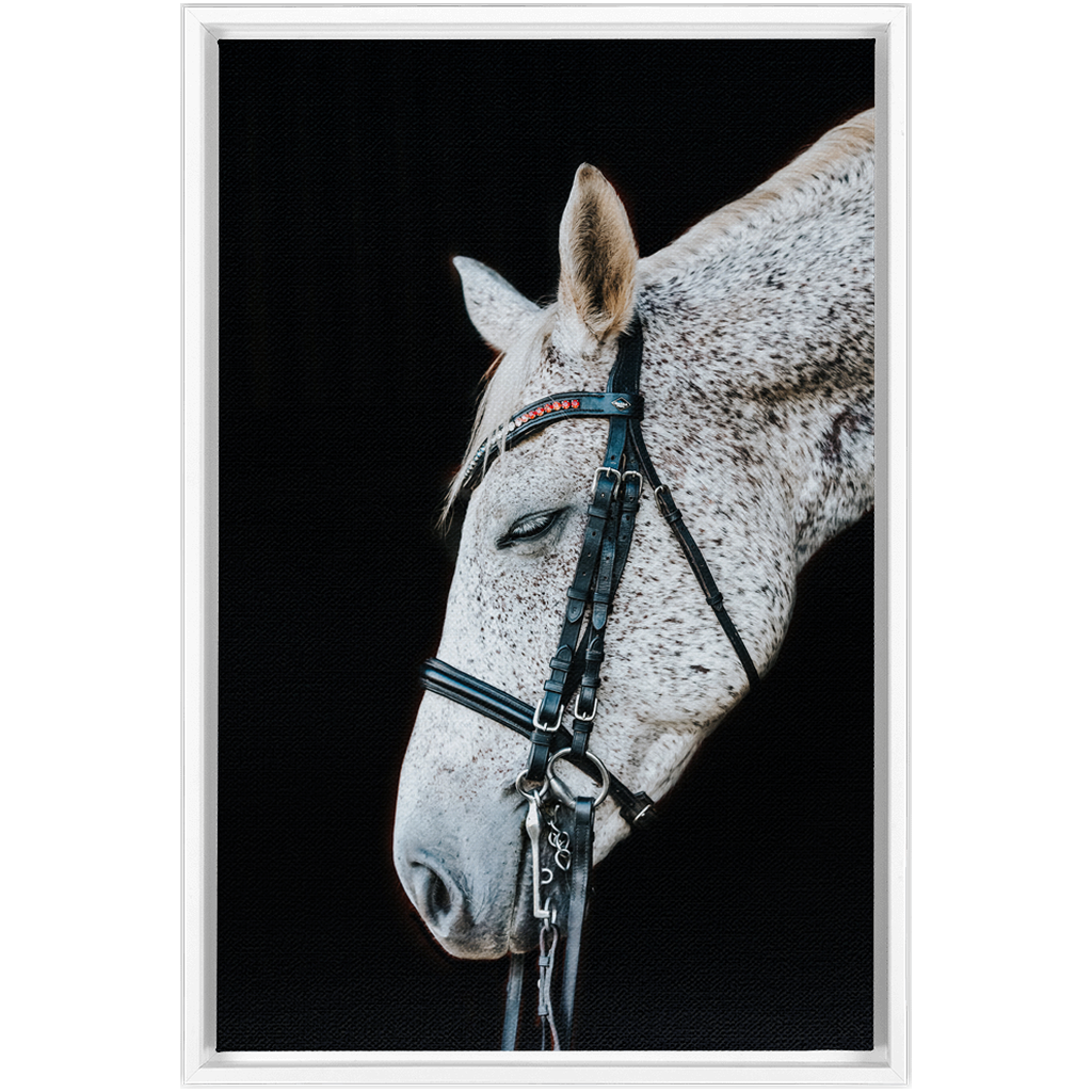 Apollo Series 1, Framed Canvas