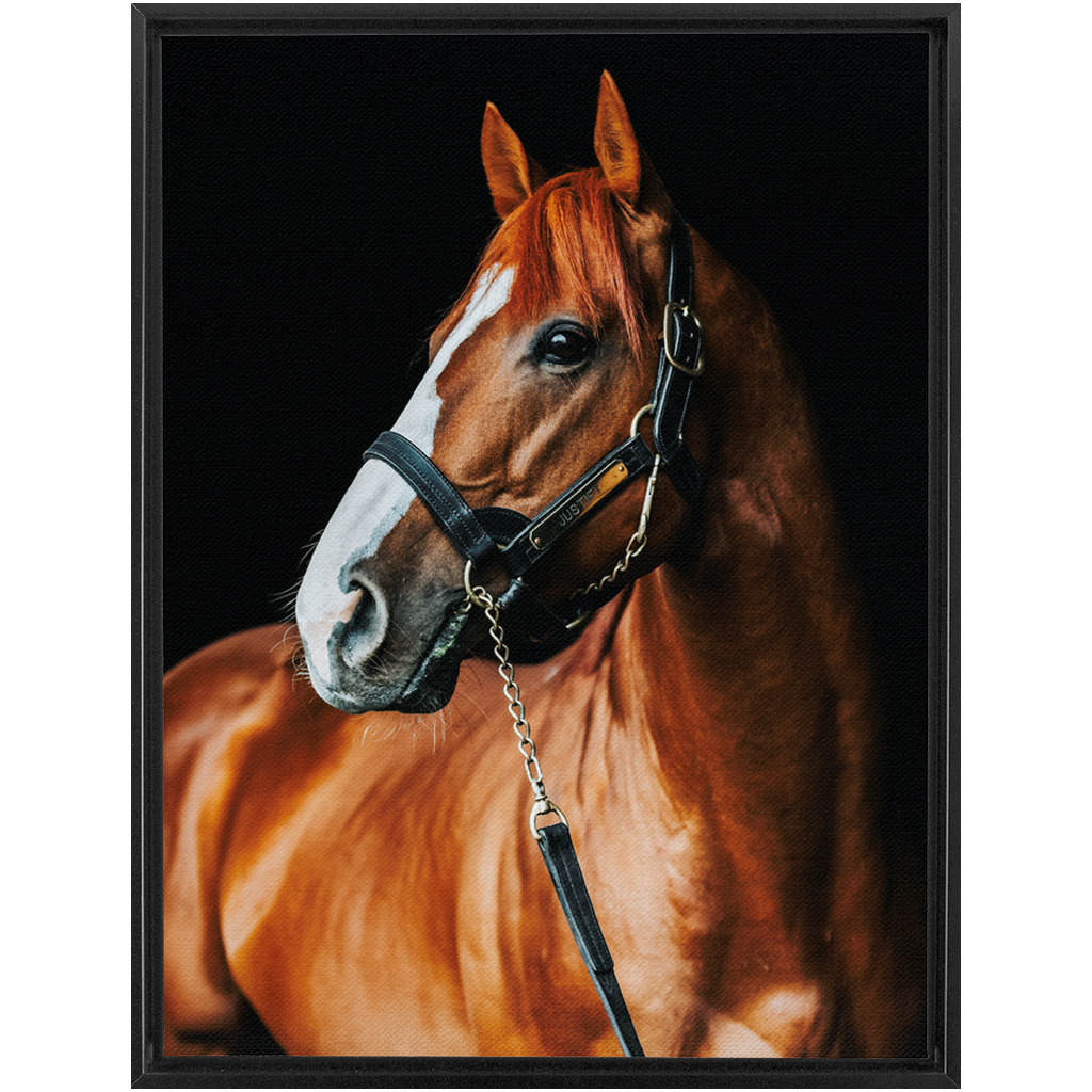 Justify Series 1, Framed Canvas
