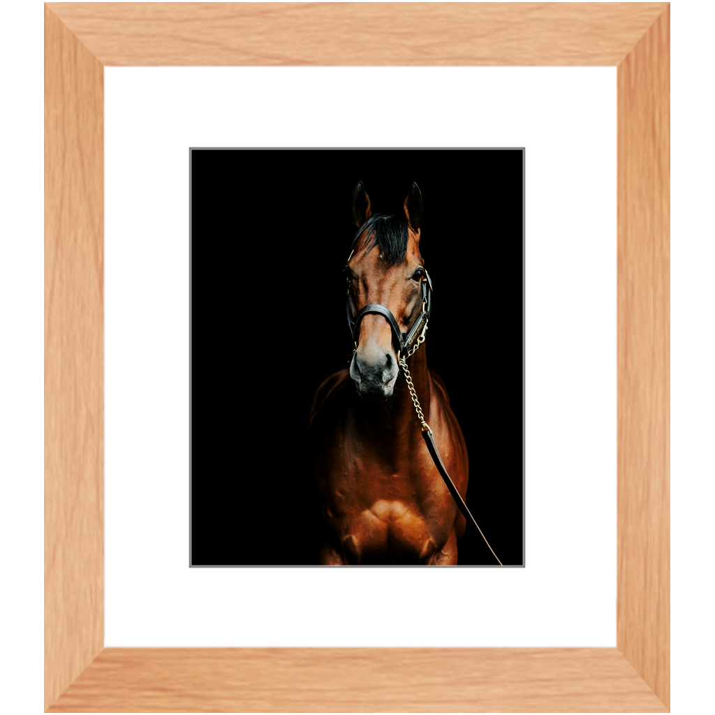 American Pharoah Series 4, Framed Print