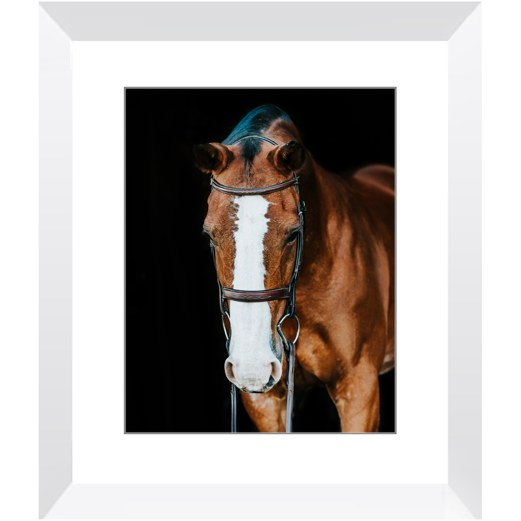 Huntsman Series 6, Framed Print