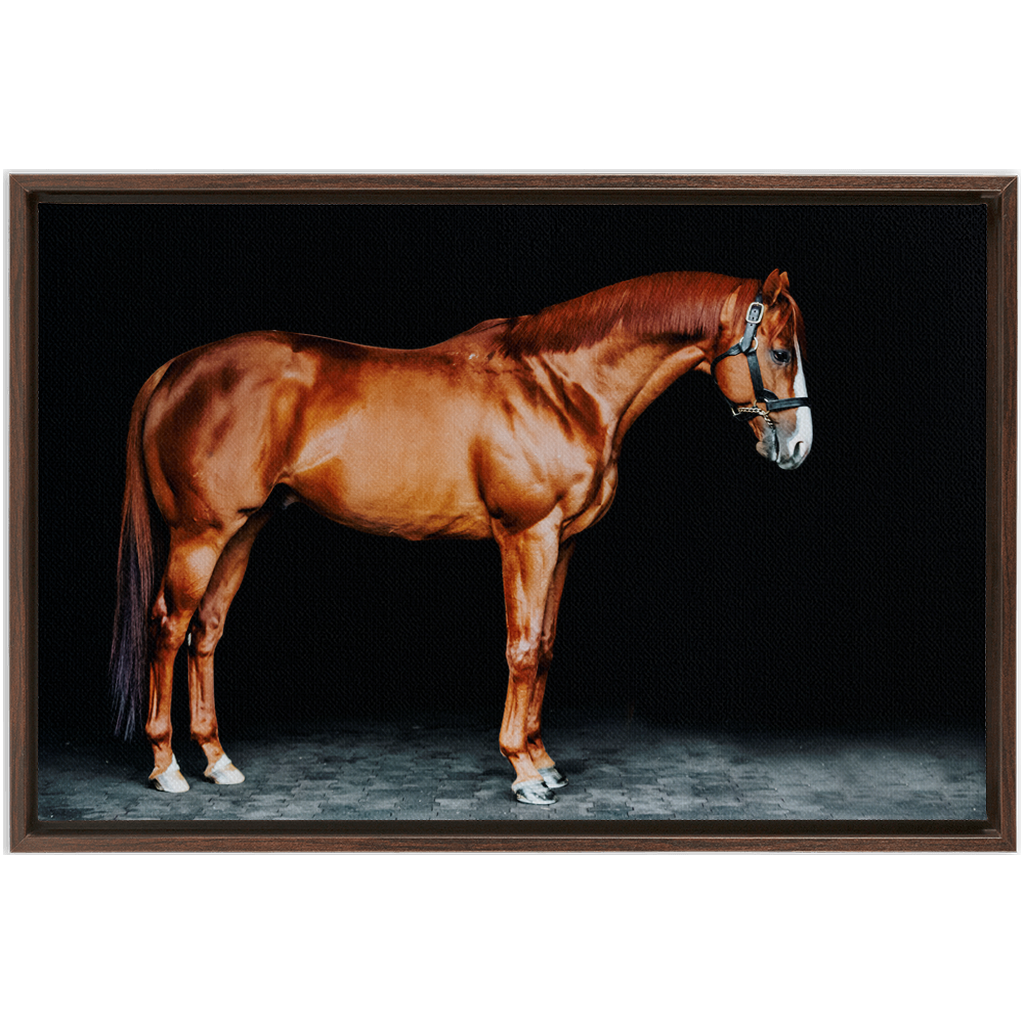 Justify Series 6, Framed Canvas