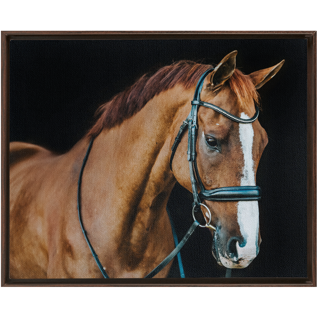 Hudson Series 1, Framed Canvas