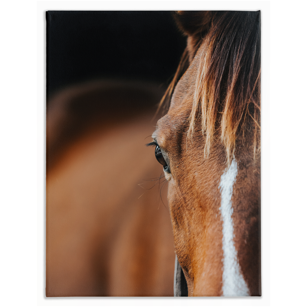 Majestic 1, Stretched Canvas