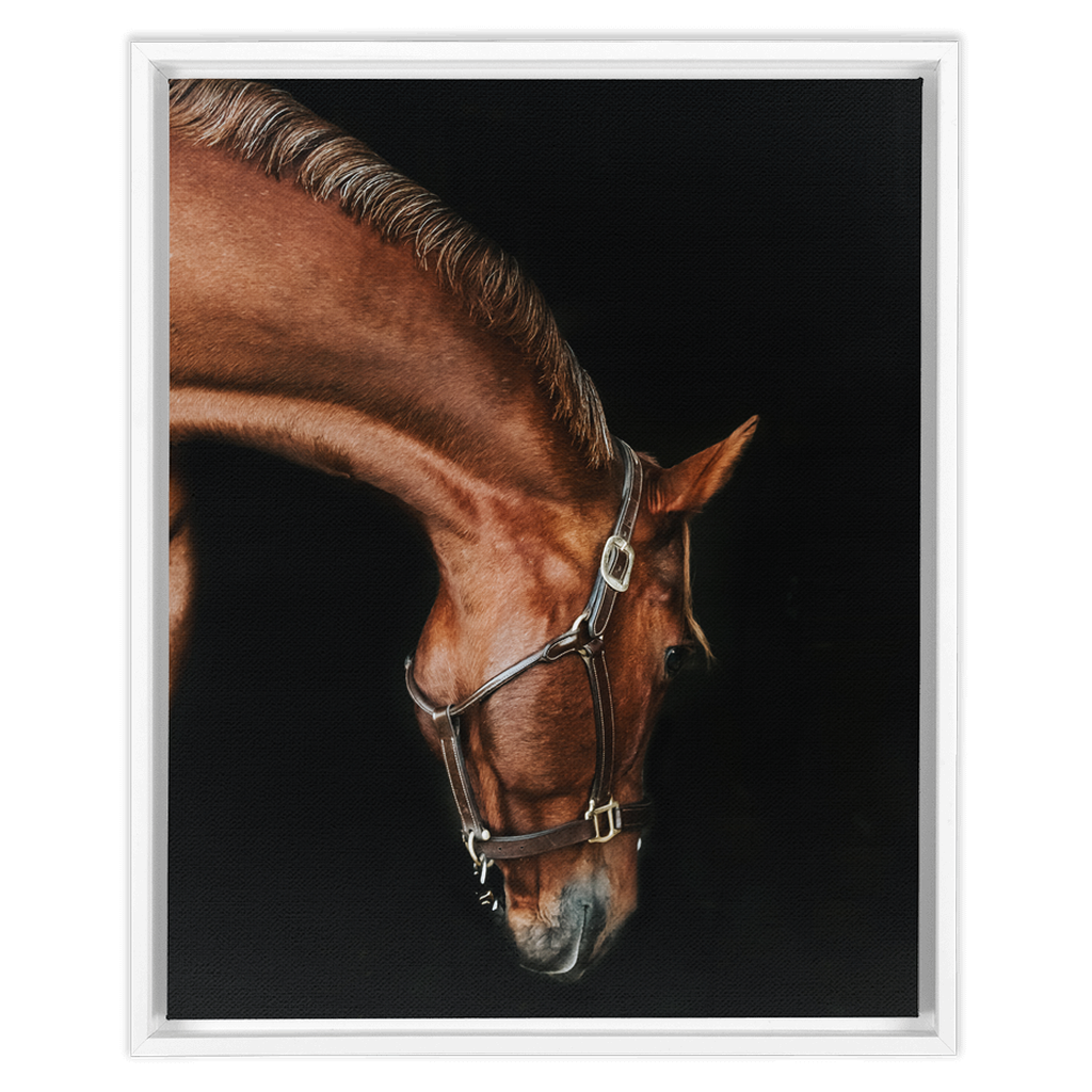 Django Series 6, Framed Canvas