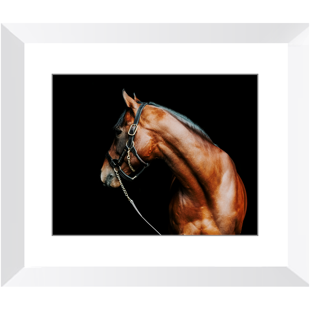 American Pharoah Series 5, Framed Print
