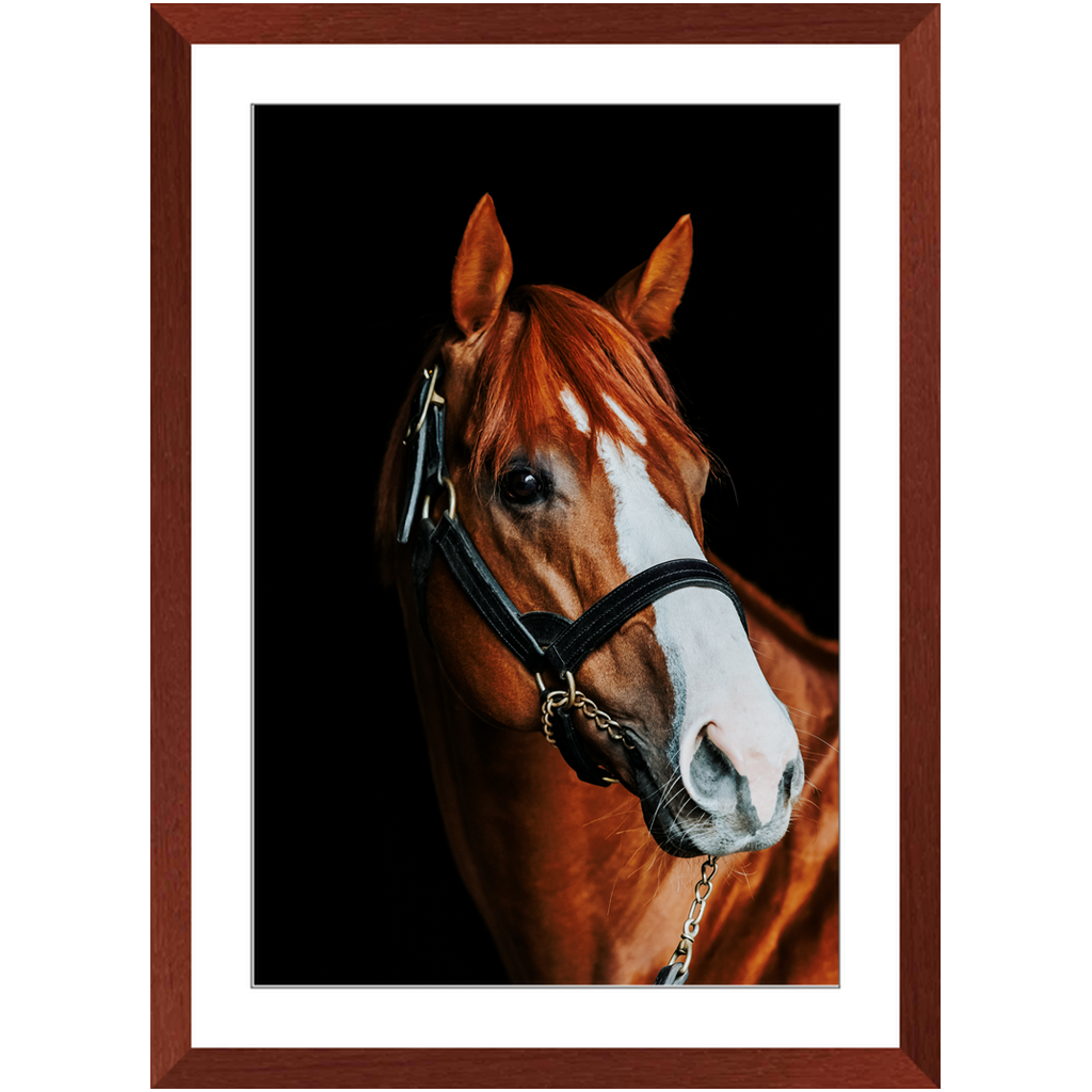 Justify Series 2, Framed Print