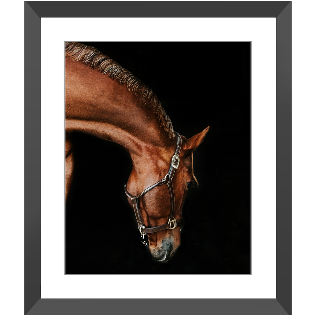 Django Series 6, Framed Print
