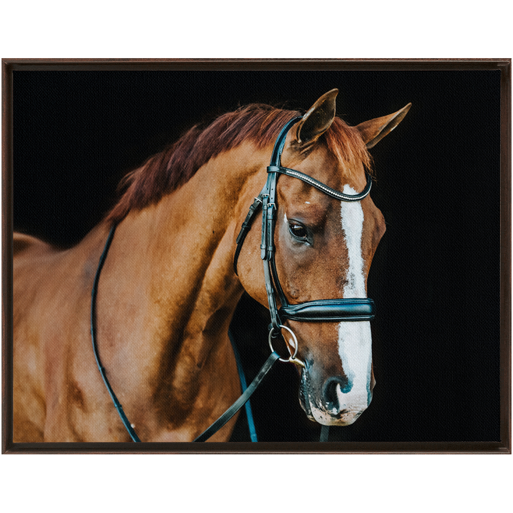 Hudson Series 1, Framed Canvas