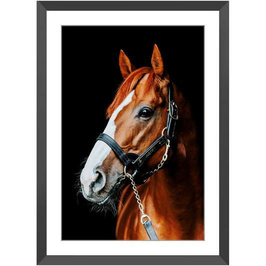 Justify Series 5, Framed Print