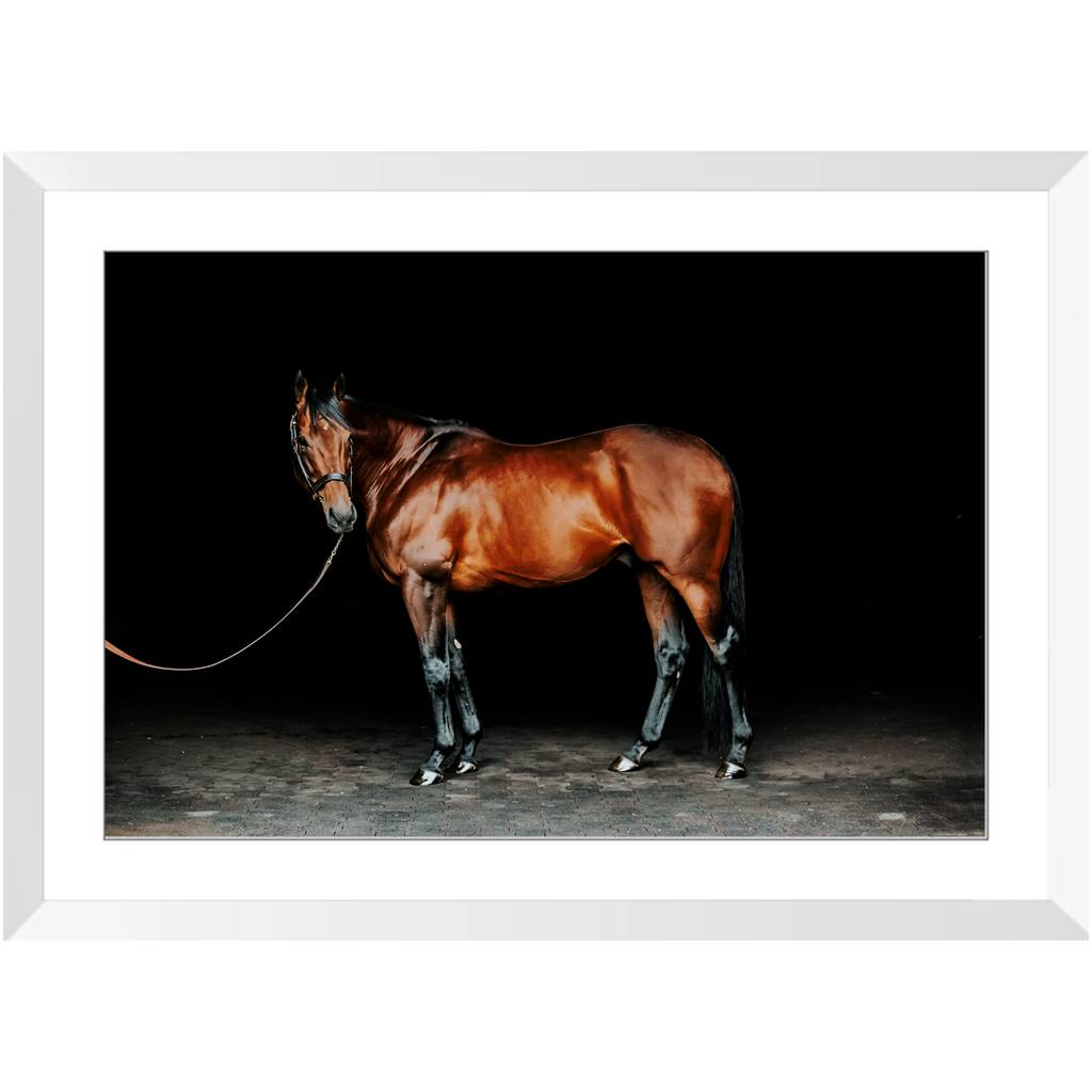 American Pharoah Series 1, Framed Print