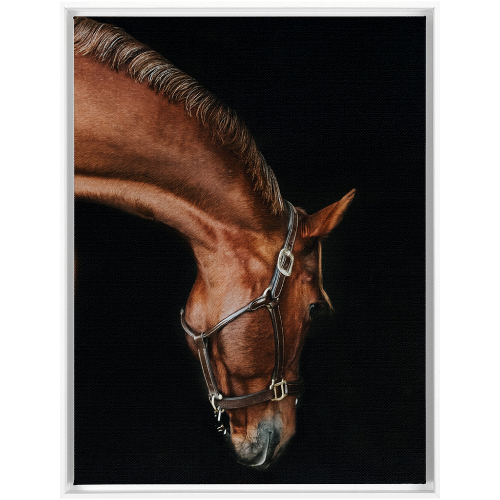 Django Series 6, Framed Canvas