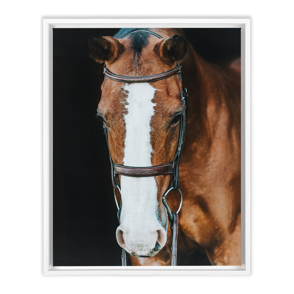Huntsman Series 6, Framed Canvas