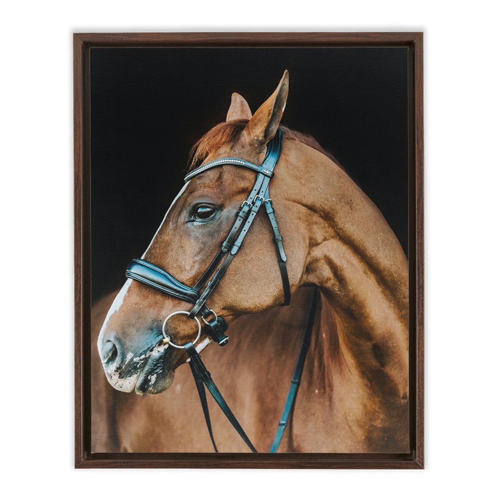 Hudson Series 6, Framed Canvas