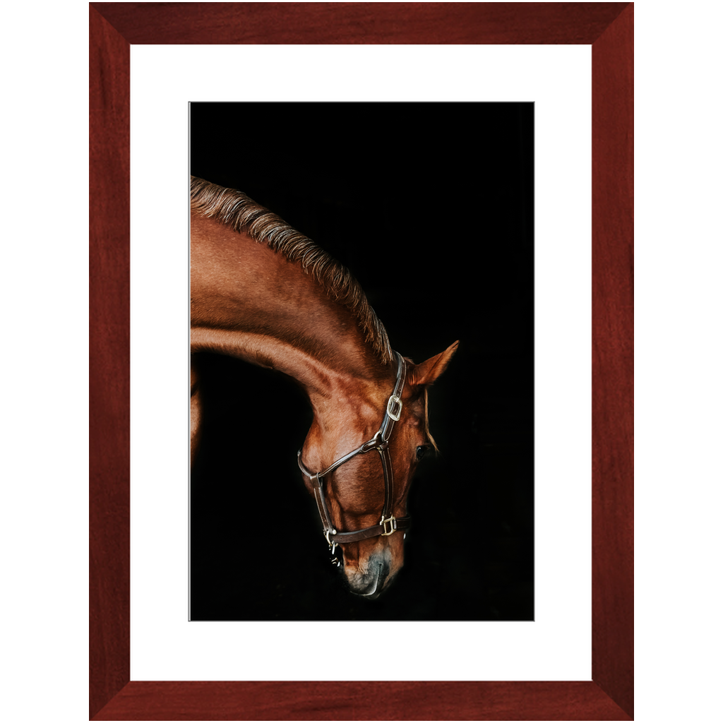 Django Series 6, Framed Print