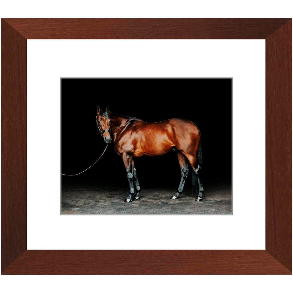 American Pharoah Series 1, Framed Print