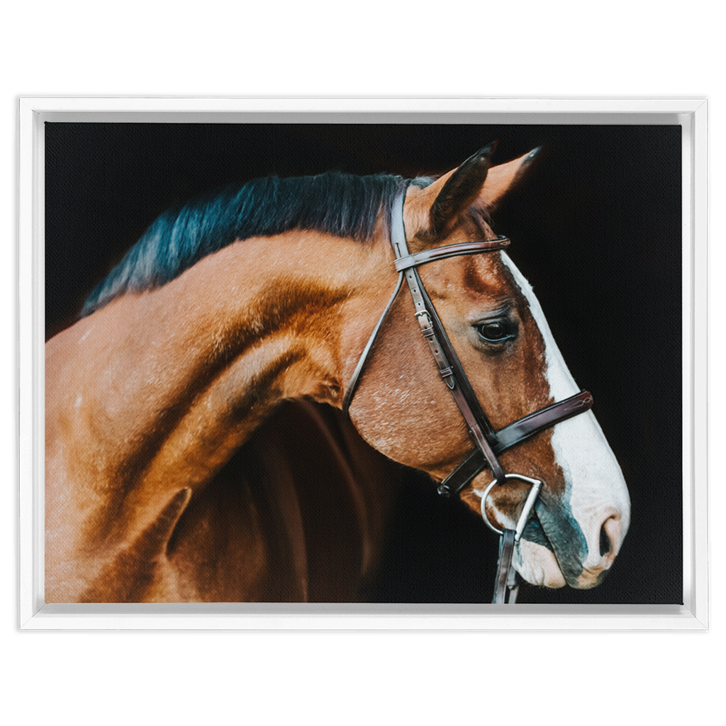 Huntsman Series 3, Framed Canvas