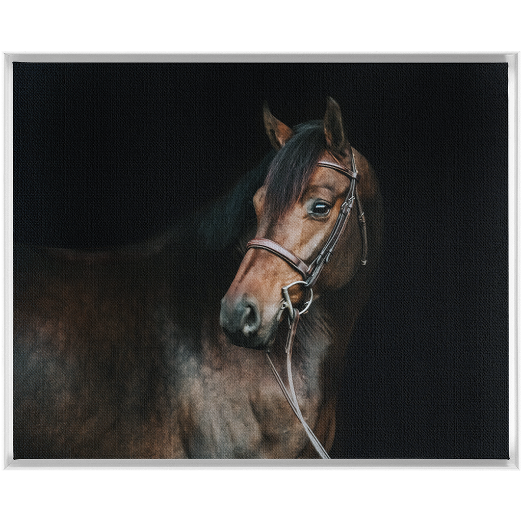 Jovial Series 2, Framed Canvas