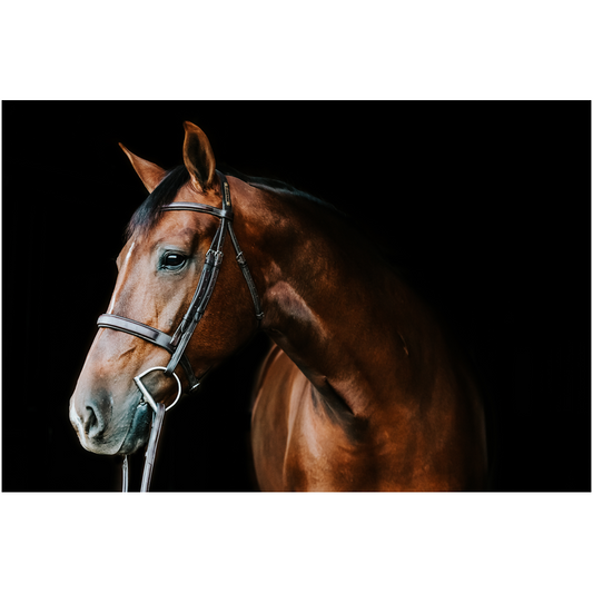 Monterey Series 3, Print